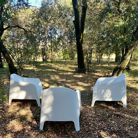 Casa vacanze Maisonnette Avec Petite Foret *