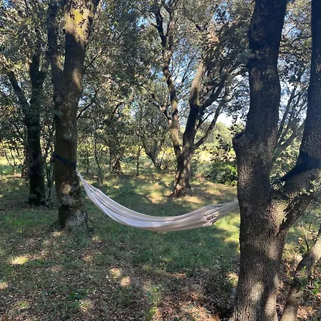 Casa vacanze Maisonnette Avec Petite Foret Valréas