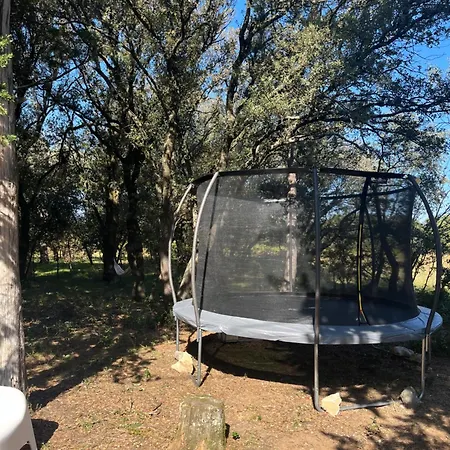 Maisonnette Avec Petite Foret * Valréas
