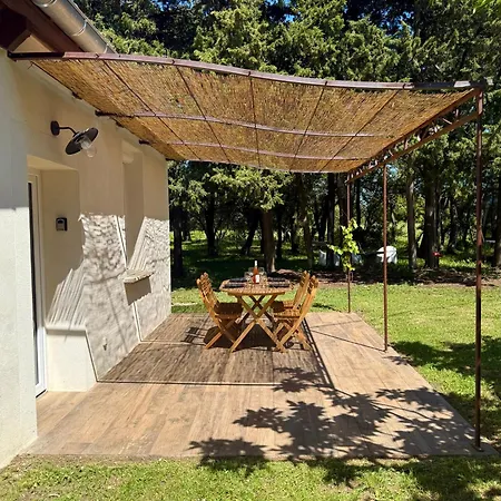 Maisonnette Avec Petite Foret Valréas
